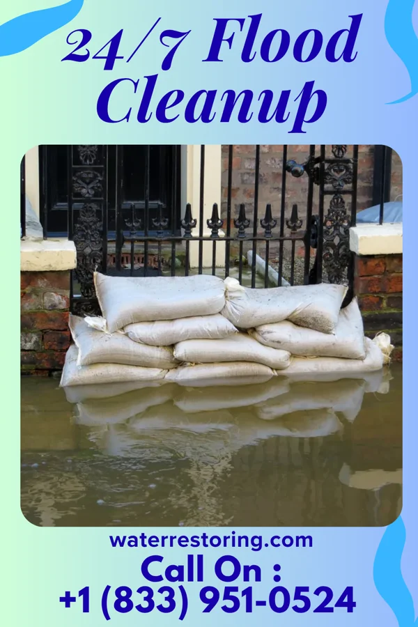 24/7 Flood Cleanup in Wilmington, NC