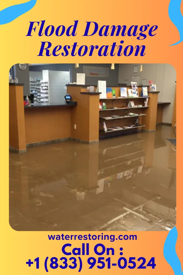Flood Damage Restoration in Wilmington, NC