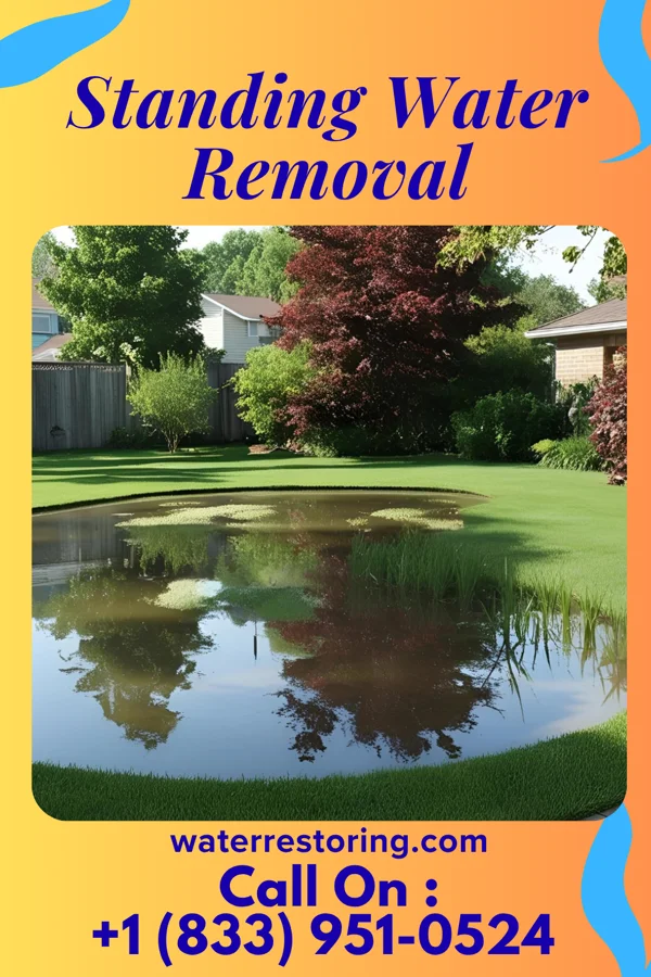 Standing Water Removal in Wilmington, NC